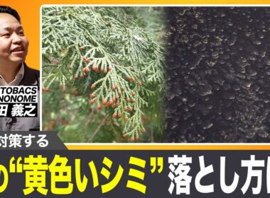 【放置NG】花粉でボディが痛む!?やってはいけない洗車をプロが警告|くるまのニュースTV