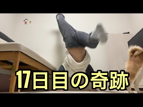 【孤独の56歳】逆立ち17日目…ついに歩けた（壁ありだけど）