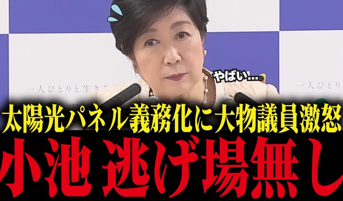 小池知事の太陽光パネル強制に大物議員たちが大激怒！小池大焦り【小池百合子/都議会/さとうさおり/カイロ大学/学歴詐称疑惑】