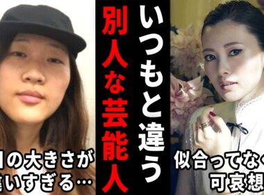 え、あの人だったの！？いつもと違いすぎる芸能人の画像w【ガルちゃん芸能・有益2ch】