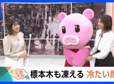 【4月2日 関東の天気】標本木も凍える 冷たい雨｜TBS NEWS DIG