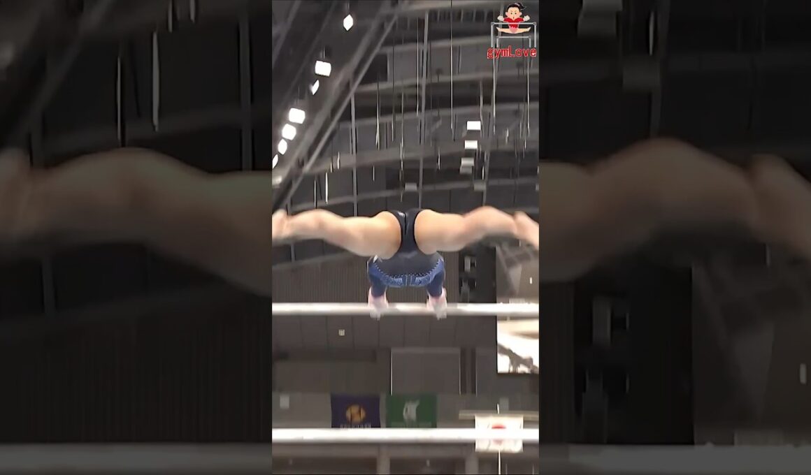 22  段違い平行棒  体操女子 JPN  UB AA MS