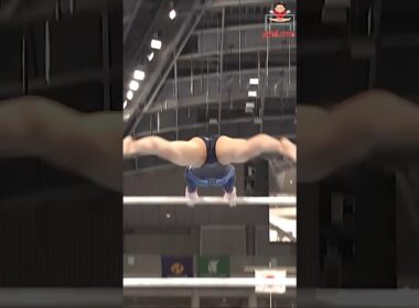 22  段違い平行棒  体操女子 JPN  UB AA MS