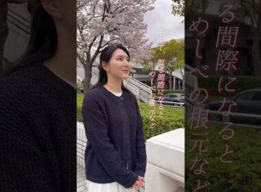 【ややウケ】ソメイヨシノの花の色 #通勤タイパ #白井ゆかり #豆知識