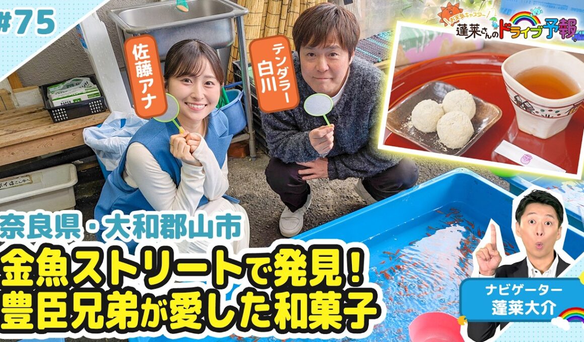 【蓬莱さんのドライブ予報＃７５】奈良・大和郡山市　豊臣兄弟が愛した和菓子