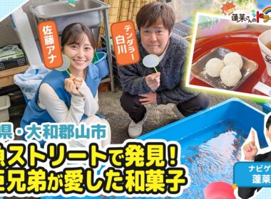 【蓬莱さんのドライブ予報＃７５】奈良・大和郡山市　豊臣兄弟が愛した和菓子