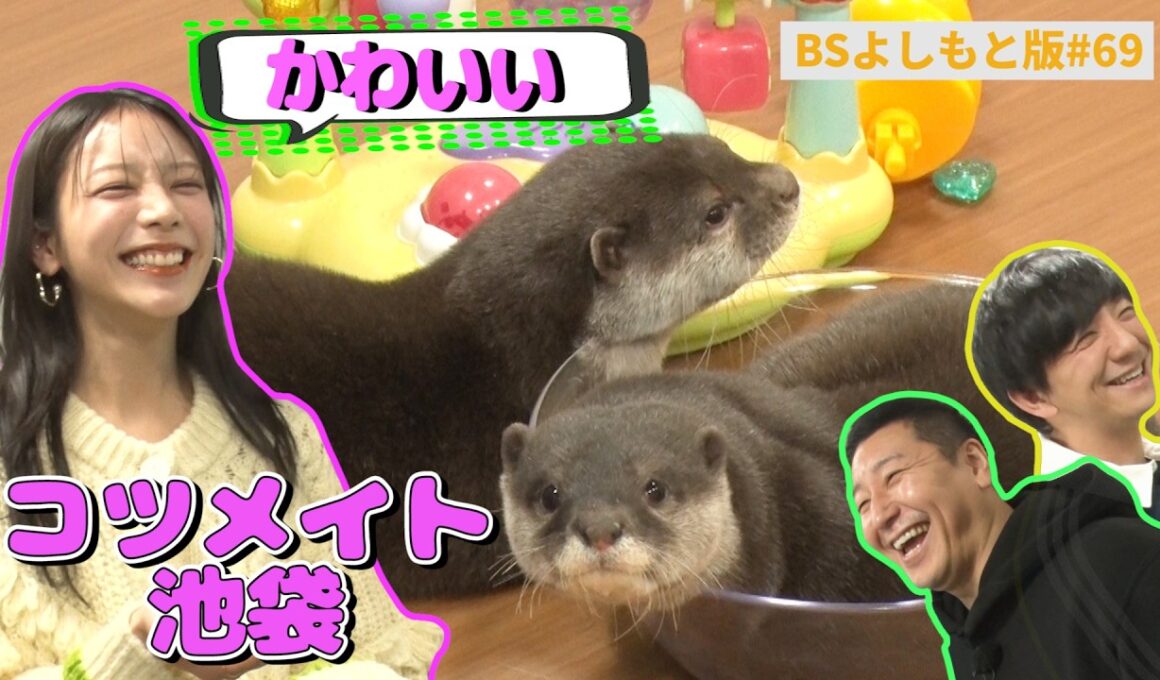 【BS版#69　貴島明日香と都内ドライブ】カワウソにメロメロで癒やされMAX❤️　Volvo EX30 Cross Country