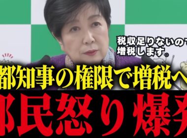 【小池百合子】都知事の権限で増税決定！やりたい放題の都知事に都民ブチギレ【小池都知事/都議会/カイロ大学/学歴詐称疑惑】