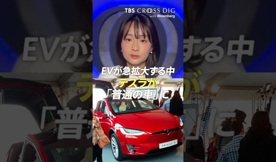 EVが急拡大する中、テスラが「普通の車」に　#ev #eu #トルコ #togg #篠原梨菜 #tbs #crossdig