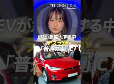 EVが急拡大する中、テスラが「普通の車」に　#ev #eu #トルコ #togg #篠原梨菜 #tbs #crossdig