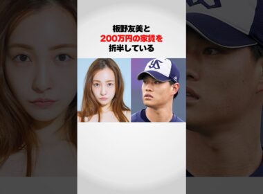 『板野友美と200万円の賃貸に住む』高橋啓二が…