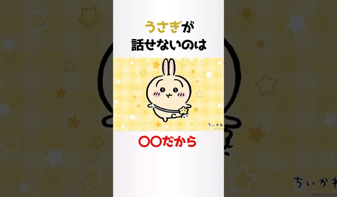 うさぎに関する少し怖い雑学【ちいかわ】#shorts #雑学