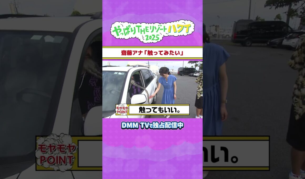 齋藤アナ「触ってみたい...」