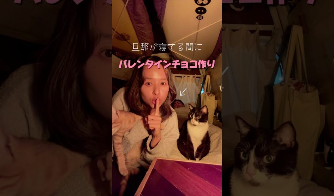 車で手作りバレンタインチョコ♡ #夫婦#夫婦旅#車中泊#同棲#バンライフ#vanlife#日本一周#猫#子猫