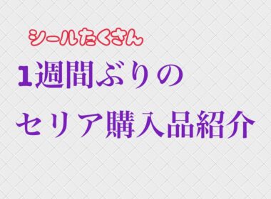 1週間ぶりのセリア購入品紹介