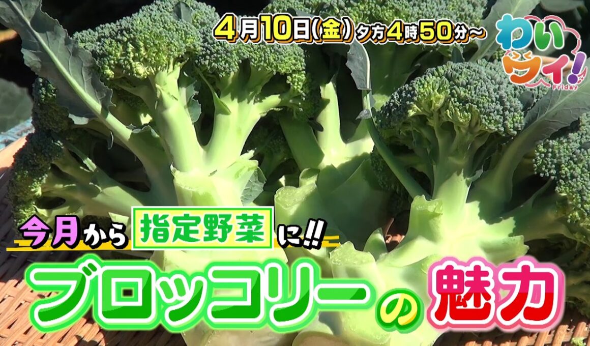 【番宣】注目！ブロッコリー衝撃のアレンジ料理🥦▽Jリーグ・極限のPK戦に潜入！熱き思い!!▽プロが認めるスイーツ店リレーも▽[わいワイ！Friday] 2026/04/10（金）夕方4時50分放送!!