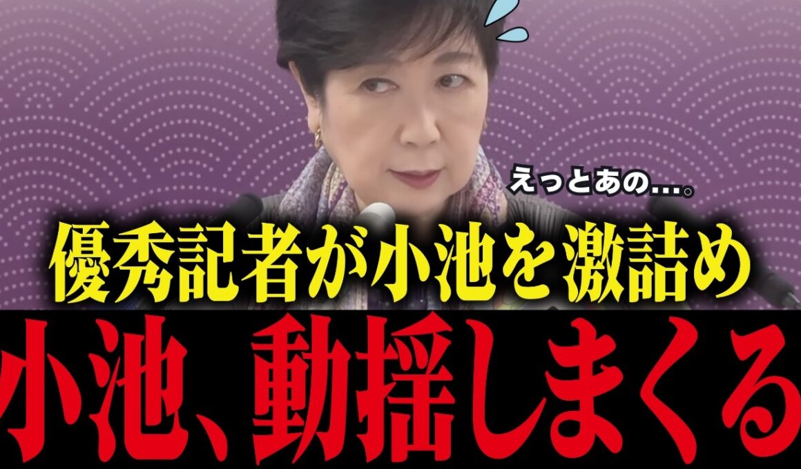 ※小池百合子、国を批判するも特大ブーメラン!!【小池百合子/小池都知事/カイロ大学/学歴詐称疑惑/さとうさおり/都議会】