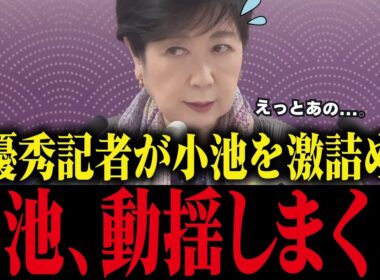 ※小池百合子、国を批判するも特大ブーメラン!!【小池百合子/小池都知事/カイロ大学/学歴詐称疑惑/さとうさおり/都議会】