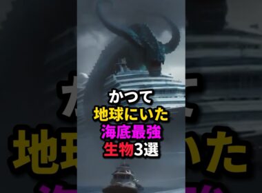 かつて地球にいた海底最強生物3選 #動物 #雑学