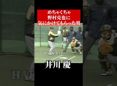 井川慶のことが大好きな野村克也 #shorts