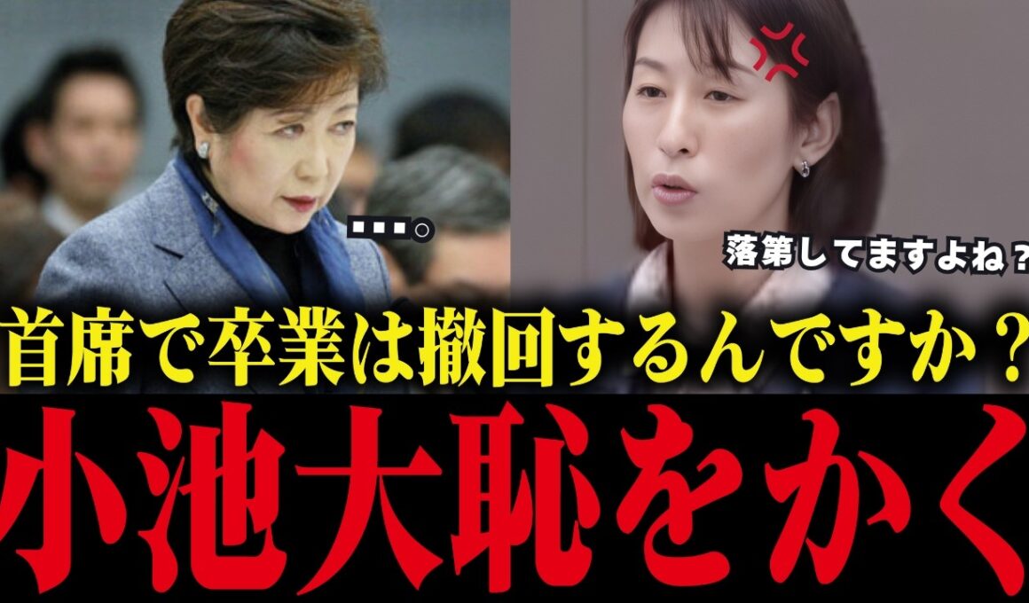 【小池百合子】都議会で学歴詐称疑惑を次々暴露され、大恥をかく【小池都知事/カイロ大学/さとうさおり】