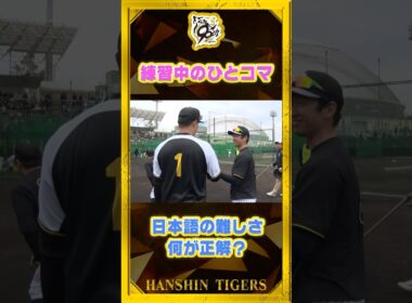 【日本語の難しさ】#森下翔太 選手の天然炸裂！！まるでコントに…#shorts