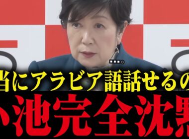 【小池百合子】アラビア語能力の疑惑について暴かれてしまう...学歴詐称疑惑が捲れる小池都知事【カイロ大学/さとうさおり/都議会】