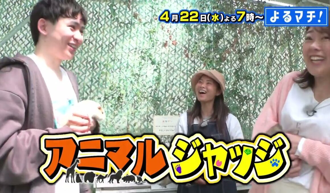 【番宣】動物に選ばれないと食べられない!?😱エミュー様の非情な裁定!?⚖️＆究極のご褒美グルメに大興奮!?✨▽[よるマチ！] 2026/04/22（水）よる7時放送!!