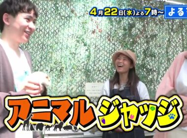 【番宣】動物に選ばれないと食べられない!?😱エミュー様の非情な裁定!?⚖️＆究極のご褒美グルメに大興奮!?✨▽[よるマチ！] 2026/04/22（水）よる7時放送!!