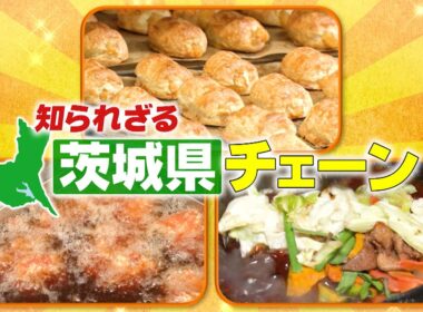 『がっちりマンデー!!』謎だらけ茨城県チェーン！ウマいデカい濃い！他県には無い未知の店 4/26(日)【TBS】
