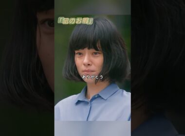 「凪のお暇」 「こうして職探ししてたから、大島さんと会えたんですもんね」—落ちてばかりの日々がくれた出会い「友達できちゃった！」—怪しい石の話から生まれた、思いがけない絆