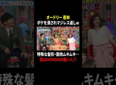 オードリー若林 ボケを潰されマジレス返しw 特殊な髪形・筋肉ムキムキ…実はHONDAの偉い人!?｜#激レアさんを連れてきた。 #TVer で最新話配信中！