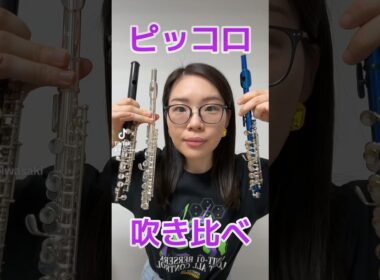 【吹き比べ】SHEINのピッコロがヤバすぎた #shein #フルート #吹奏楽