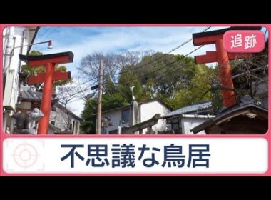 京都「謎の鳥居」を追跡　“ある事情”で2つに分断？　不思議な光景のまさかのワケ【Jの追跡】【スーパーJチャンネル】(2026年4月19日)