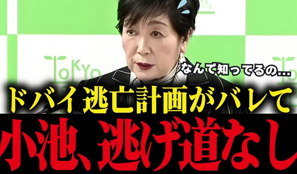 【小池百合子】小池の逃亡計画がバレる...ドバイとの極秘合意の全貌が暴露される【小池都知事/さとうさおり/都議会】