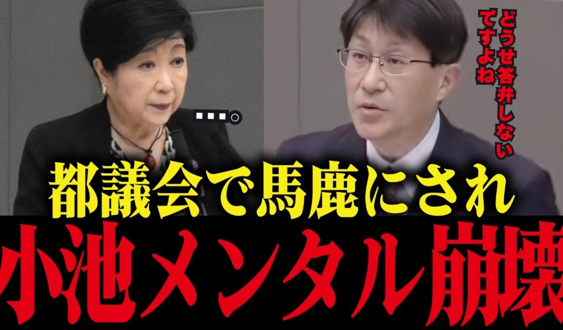 【小池百合子】答弁拒否ばかりの小池、遂に議員に馬鹿にされる【小池都知事/学歴詐称疑惑/さとうさおり】