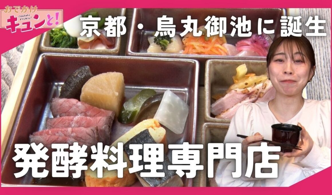 老舗味噌問屋が手がける新店「蔵代醗彩」心と身体を潤す新しい食の形とは？／おでかけキュンと！