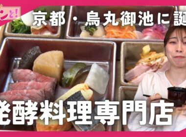 老舗味噌問屋が手がける新店「蔵代醗彩」心と身体を潤す新しい食の形とは？／おでかけキュンと！