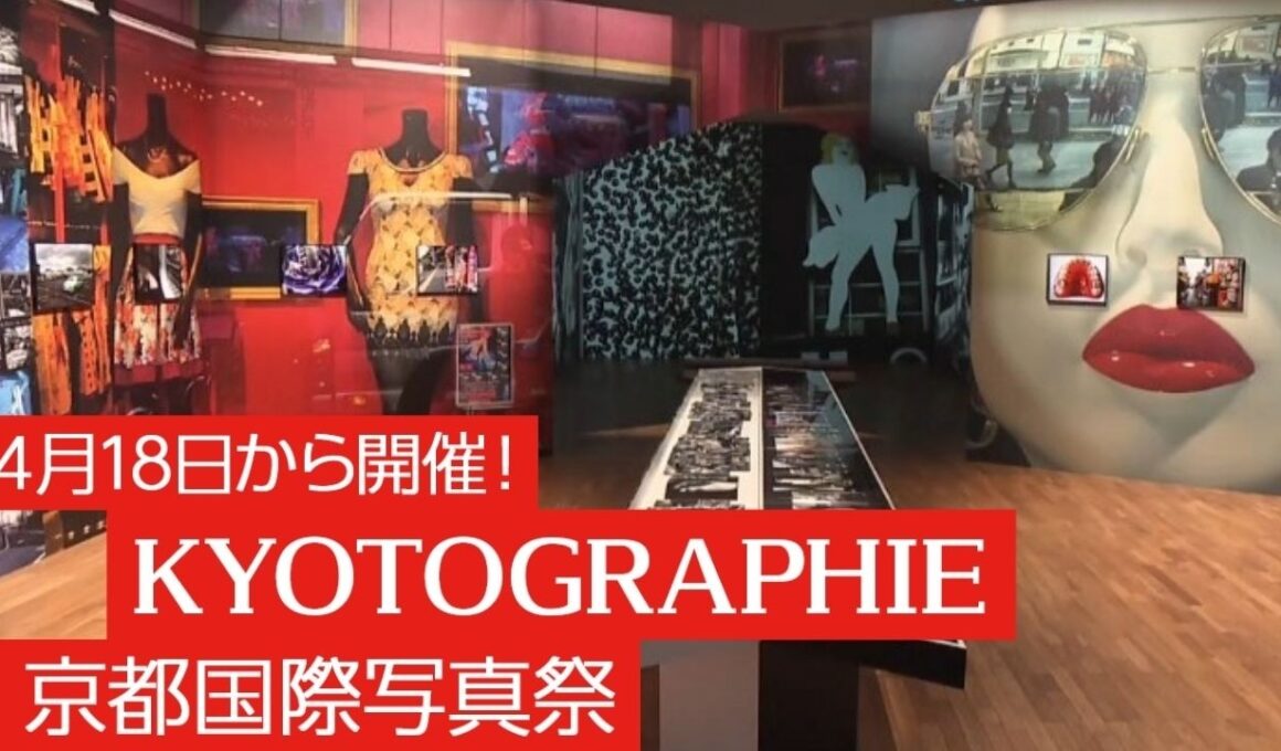 今年の「KYOTOGRAPHIE 京都国際写真祭」の見どころは？／きょうと経済テラス キュンと！