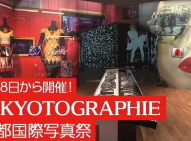 今年の「KYOTOGRAPHIE 京都国際写真祭」の見どころは？／きょうと経済テラス キュンと！