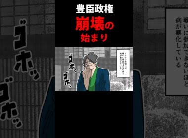 【豊臣兄弟】弟の死から豊臣政権の崩壊は始まった… #豊臣秀長