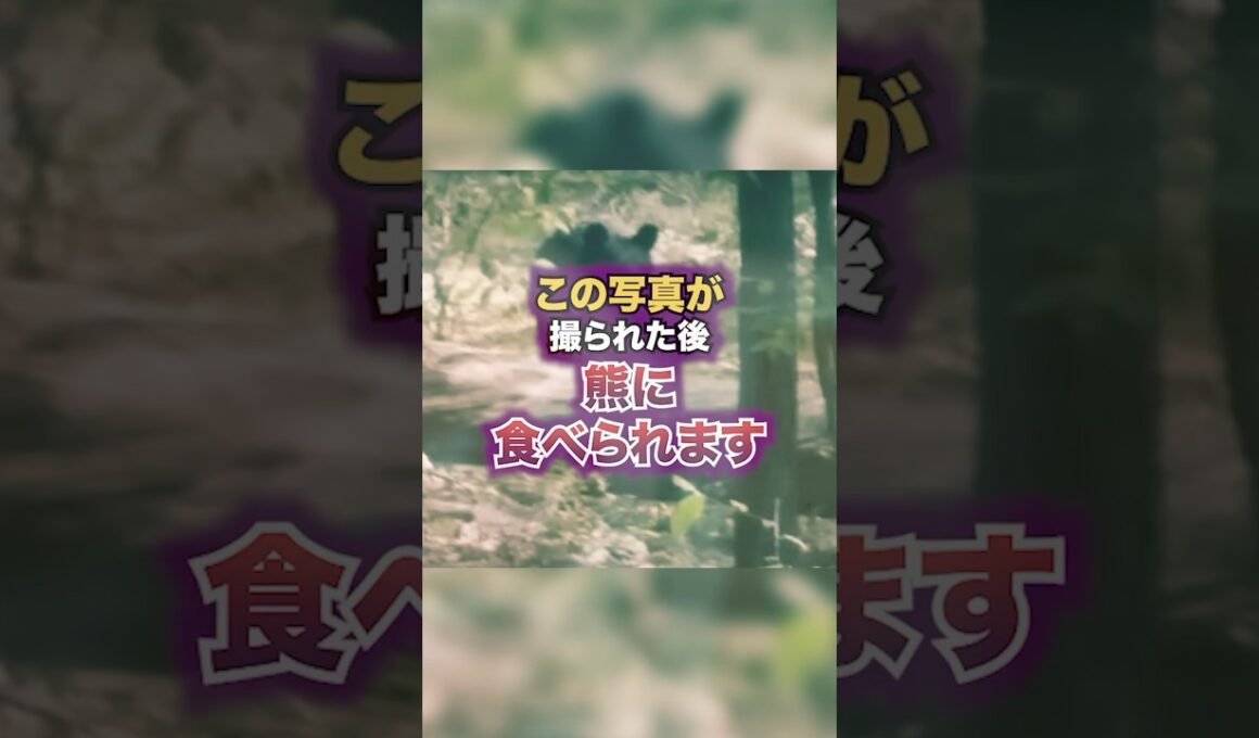 この写真が撮られた後にクマに食べられます