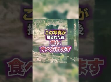 この写真が撮られた後にクマに食べられます