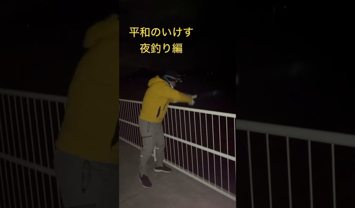 平和のいけす　夜釣り編　　　　　　　　　　　#釣り #瀬戸内海　#夜釣り　#寒い