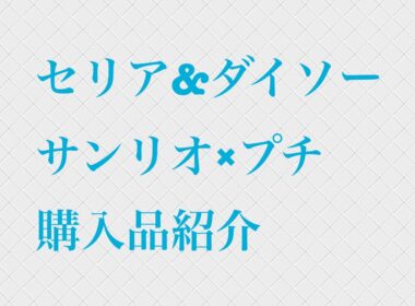 セリア&ダイソー、サンリオ×プチ購入品紹介