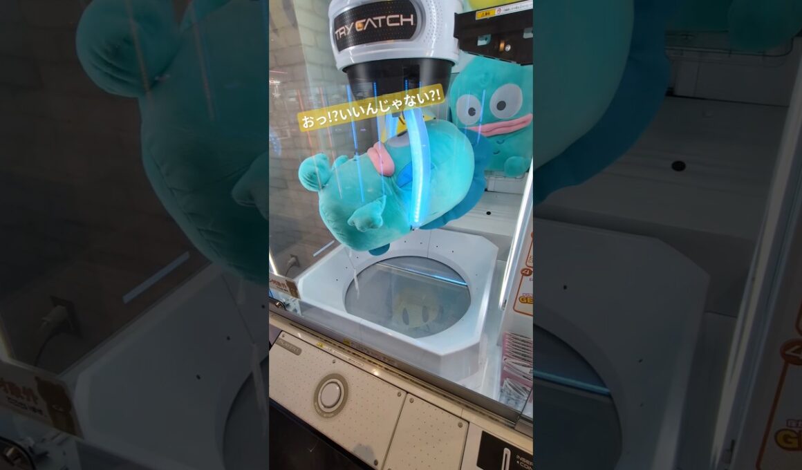 【クレーンゲーム】１回でとれるかな？#クレーンゲーム #ゲームセンター #ゲーセン #ufoキャッチャー #ぬいぐるみ #ハンギョドン #サンリオ