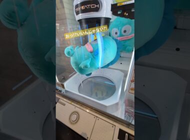 【クレーンゲーム】１回でとれるかな？#クレーンゲーム #ゲームセンター #ゲーセン #ufoキャッチャー #ぬいぐるみ #ハンギョドン #サンリオ