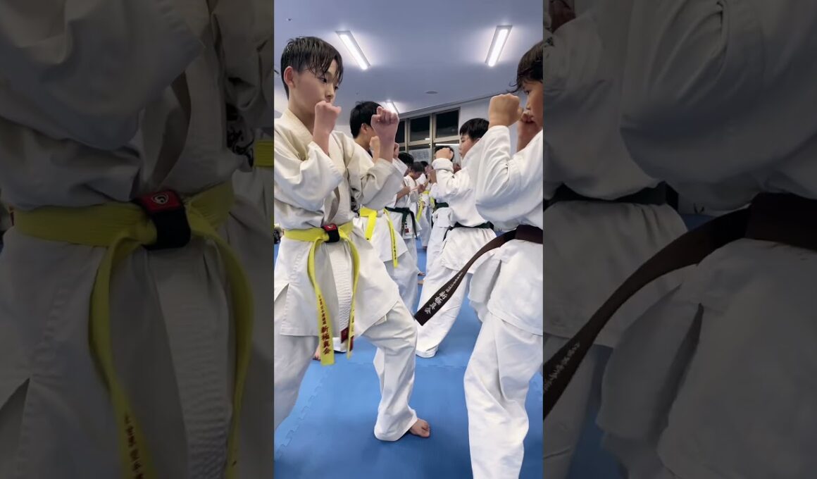 【新極真会】福岡支部少年部腹打ち稽古 #karate #空手道 #kyokushin #martialarts #極真空手　#sports  #shinkyokushin  #新極真会