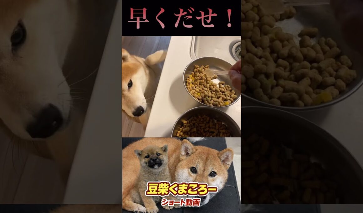 腹減った〜