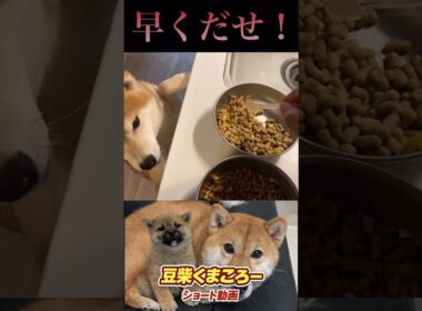 腹減った〜
